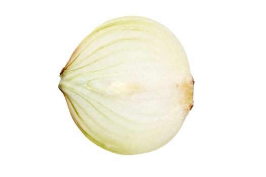 Onion isolated on white background