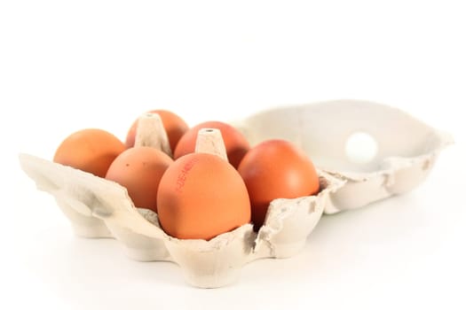 Six eggs in egg carton against white background