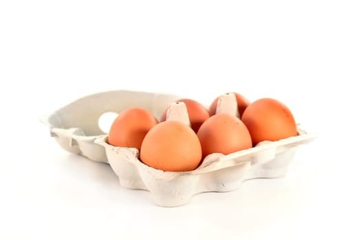 Six eggs in egg carton against white background