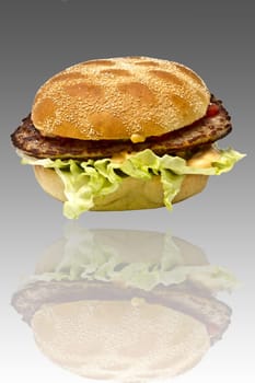 Delicious hamburger closeup on white background