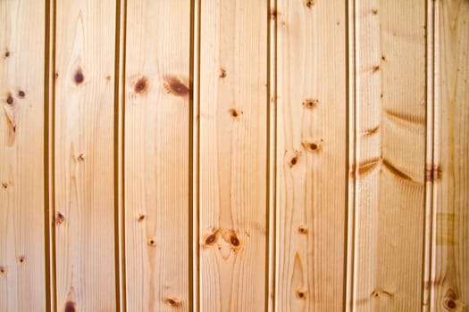 Texture of wood background closeup