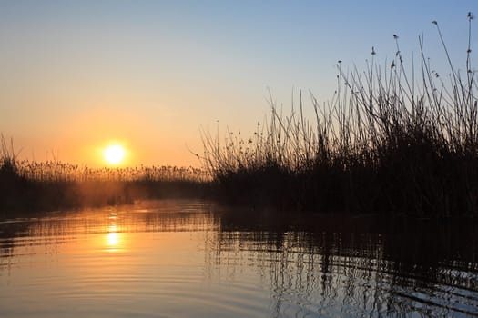 a beautiful sunrise on the lake among the reeds