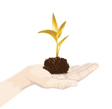 to illustrate profit growth of successful investment.