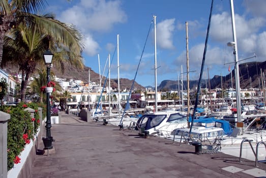 The Busy Harbour of Puerto de Mogan in Gran Canaria with Hibiscus Flowers Poinsettia and Palm Tree on Quayside