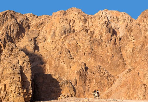 Wadi Qnai