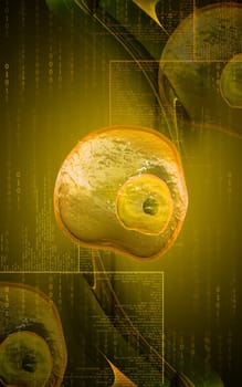 Digital illustration of Ovum cell in colour background