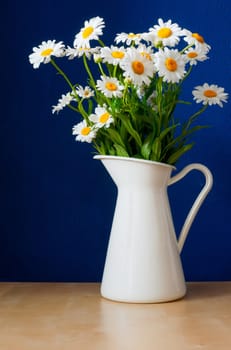 Fresh Oxeye Daisies on table in white Pitcher in interior