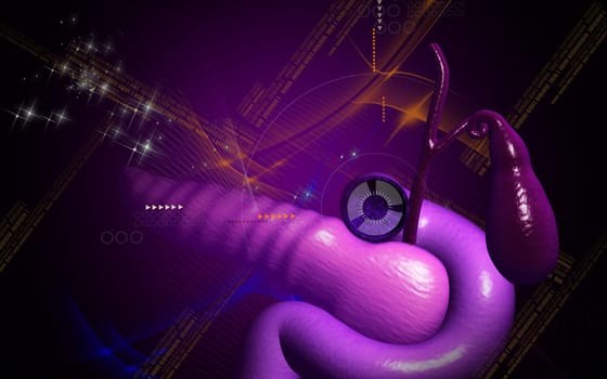 Digital illustration of pancreas in colour background