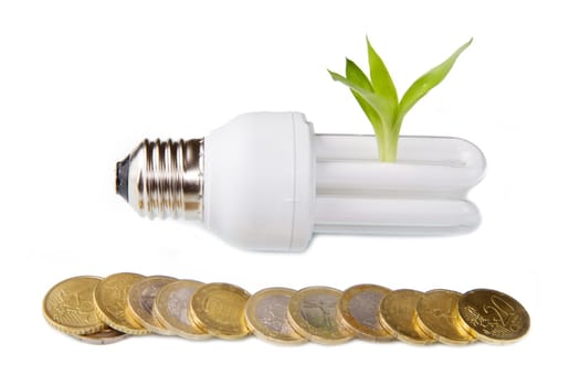Energy saving fluorescent light bulb with coin