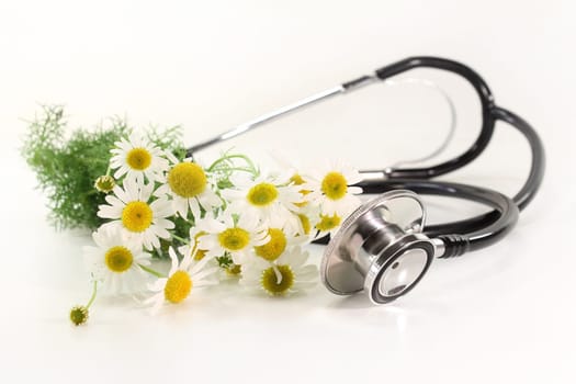 Stethoscope and chamomile against white background