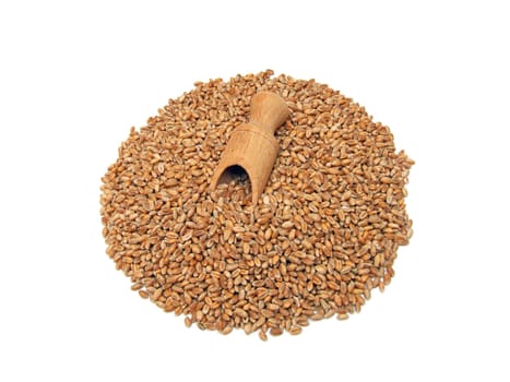 some wheat