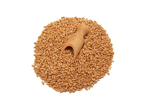 some spelt