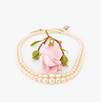 Vintage string of pearls with pink rose. Isolated over light background.