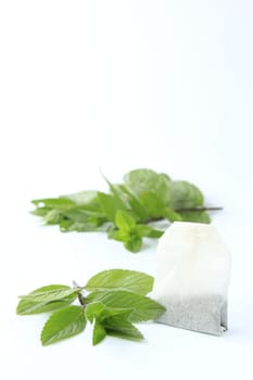 Peppermint sprigs with tea bags