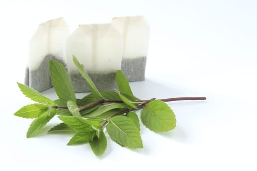 Peppermint sprigs and tea bags