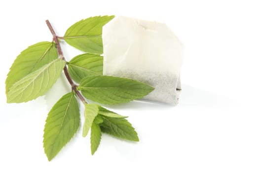 Peppermint sprigs with tea bags
