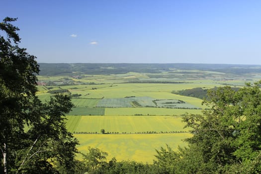 Aerial view of partly flowering arable land and rapeseed fields