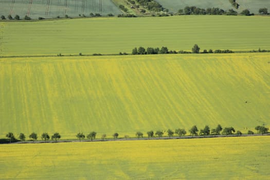 Aerial view of partly flowering arable land and rapeseed fields