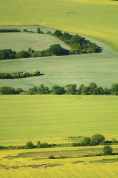 Aerial view of partly flowering arable land and rapeseed fields