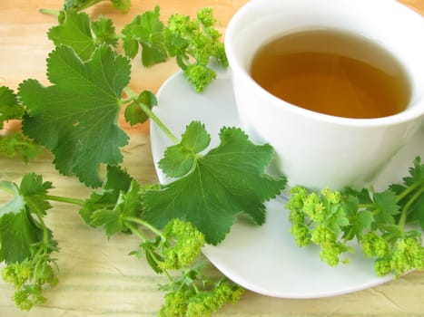 Lady's Mantle Tea
