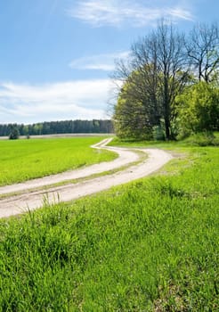 Rural road passes in the field