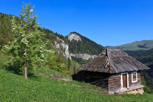 a mountain spring landscape with rustic home