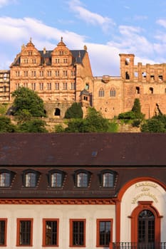 Heidelberg Academy of Sciences and Humanities