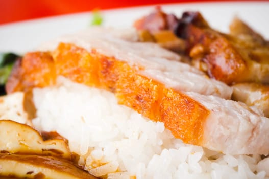 chinese style roasted pork with rice, popular in asian countries, picture taken in singapore.