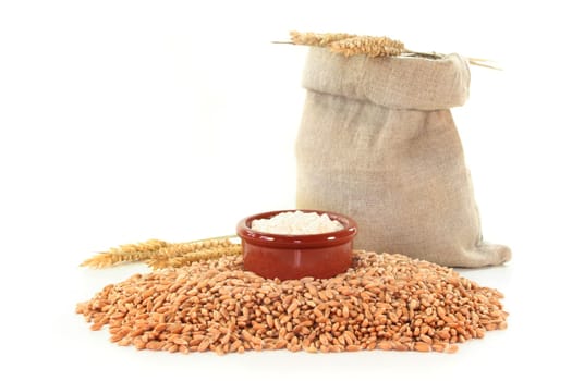 a sack of grain and ears of corn against a white background