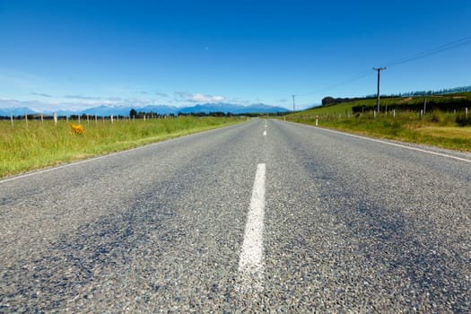 Shot taken in the middle of the road in New Zealand farmland