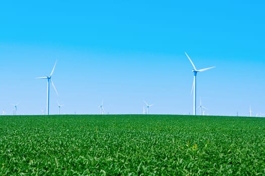 Wind turbines on a farm in blue skies