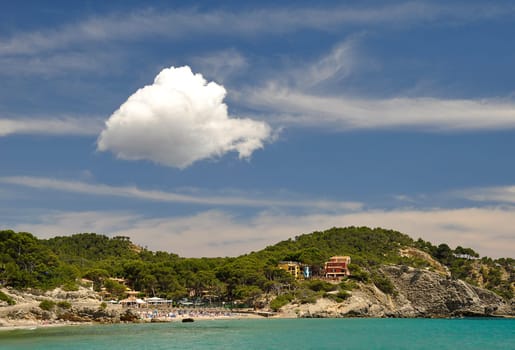 white cloud