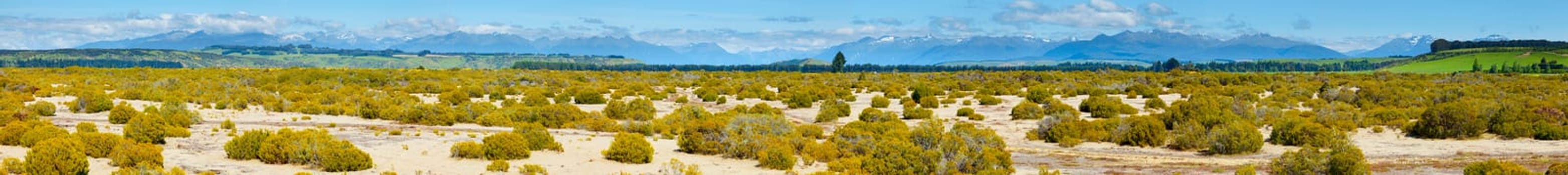Panoramic view of New Zealand countryside with mountains in the background