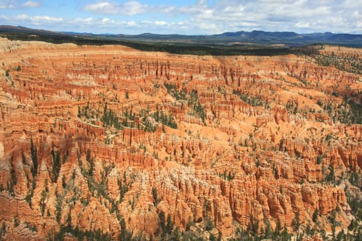 Stone formations in Bryce Canyon National Park