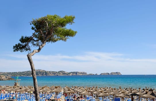 Beach in Mallorca