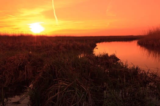 a beautiful sunrise on the lake among the reeds
