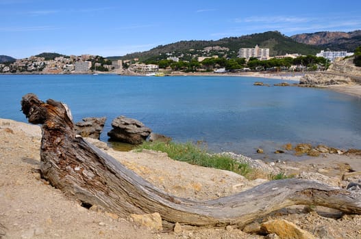 Natural beach in Mallorca