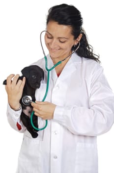 Attractive lady veterinarian over a white background