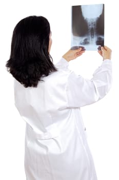 doctor examining a radio graphs a over white background