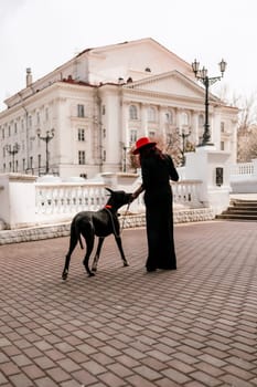 A photo of a woman and her Great Dane walking through a town, taking in the sights and sounds of the urban environment.