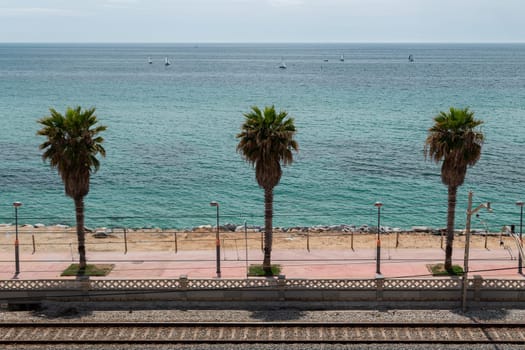 Tram railway and high palms on embankment in Vilassar de Mar, Barcelona on summer day. Picturesque cityscape with calm sea bay at Spanish resort