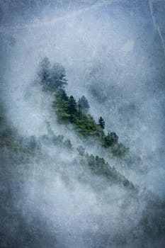 Vintage retro hipster style travel image of peacful serene scenery - mountain forest trees in clouds in Himalayas with overlaid grunge texture. Kullu valley, Himachal Pradesh, India