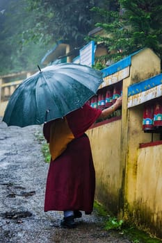 Buddhist monk with umbrella spinning prayer wheels on kora around Tsuglagkhang complex in McLeod Ganj, Himachal Pradesh, India