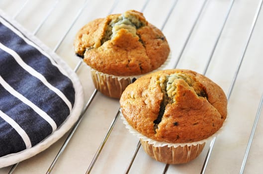 Two freshly baked blueberry muffins