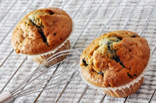 Two freshly baked blueberry muffins