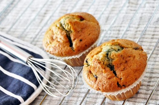 Two freshly baked blueberry muffins