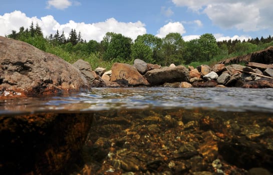 Bach in the Harz Mountains