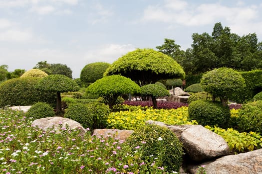 Japanese garden,well-kept botany in a park of Bangkok