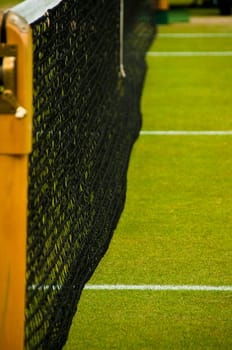 Detail of a lawn tennis court