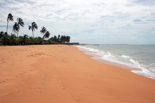 On the sandy beach of Sri Lanka